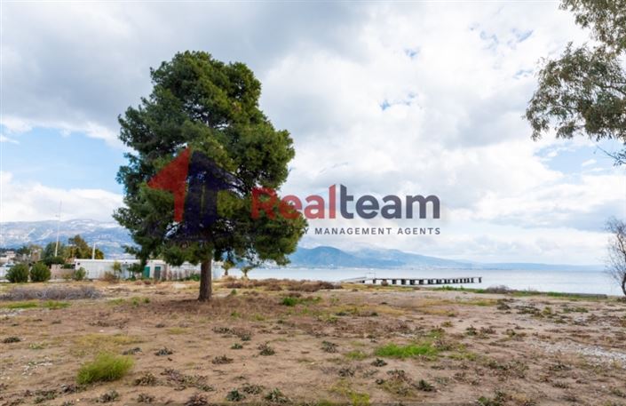 Image No.19-Plot for sale