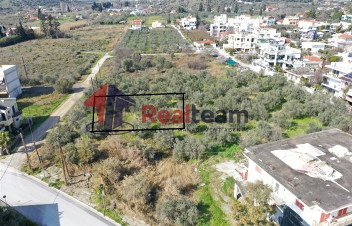 Image No.2-Plot for sale