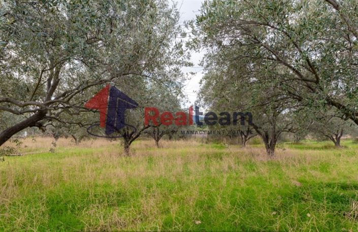 Image No.8-Plot for sale