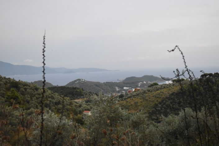 Image No.1-Propriété à vendre à Skiathos
