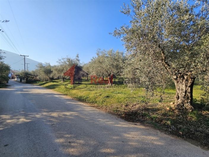 Image No.14-Plot for sale