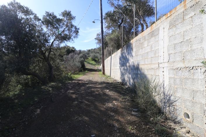 Image No.21-Propriété de 3 chambres à vendre à Skiathos