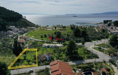 1 - Skopelos, Propriété
