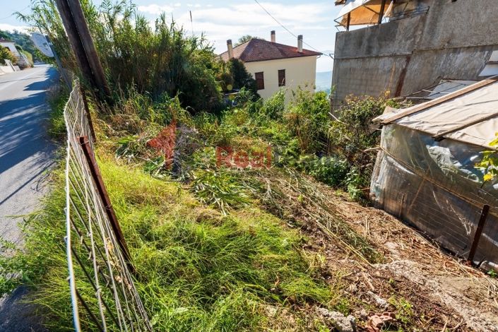 Image No.3-Propriété à vendre à Portaria