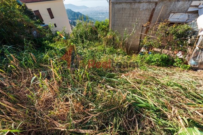 Image No.6-Propriété à vendre à Portaria