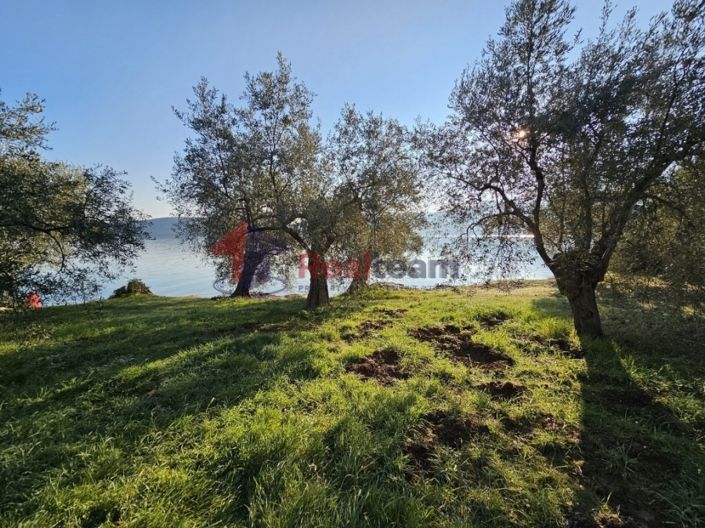 Image No.9-Property for sale