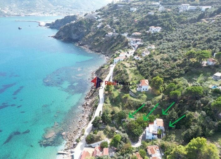 Image No.2-Propriété à vendre à Skopelos