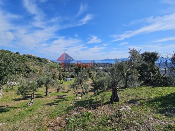Image No.1-Property for sale