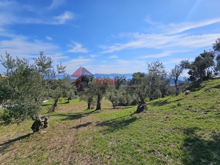 Image No.10-Property for sale