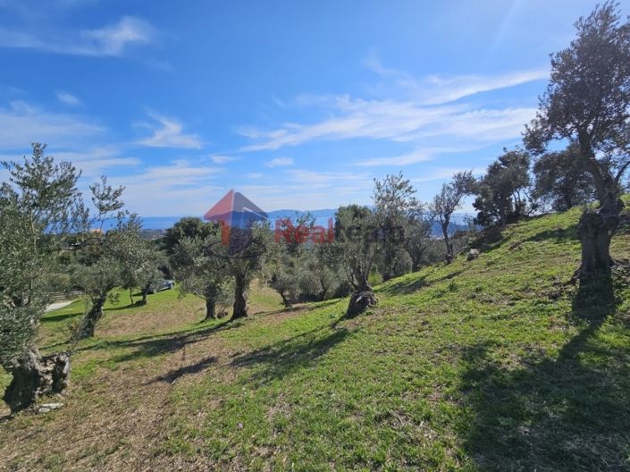 Image No.11-Property for sale