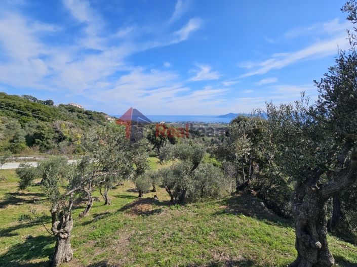 Image No.12-Property for sale