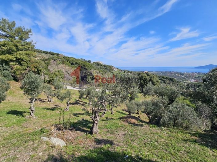 Image No.13-Property for sale