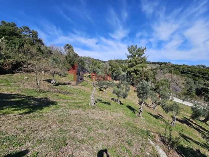 Image No.14-Property for sale