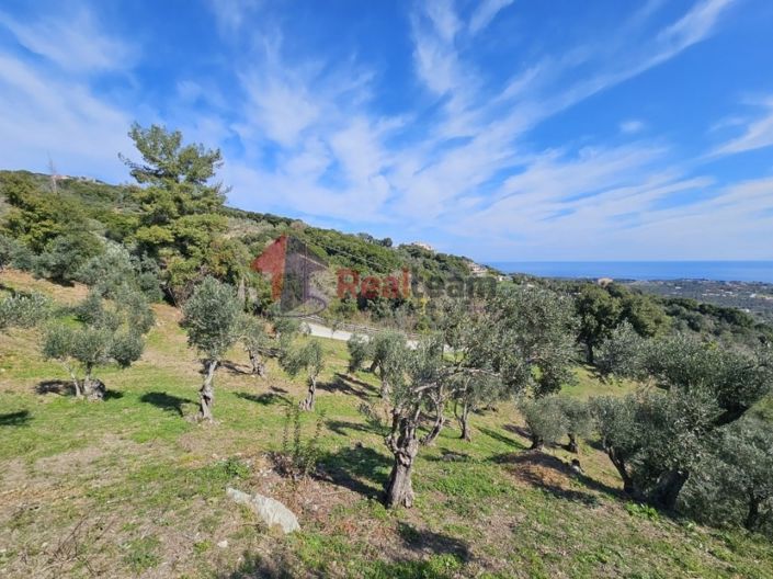 Image No.15-Property for sale