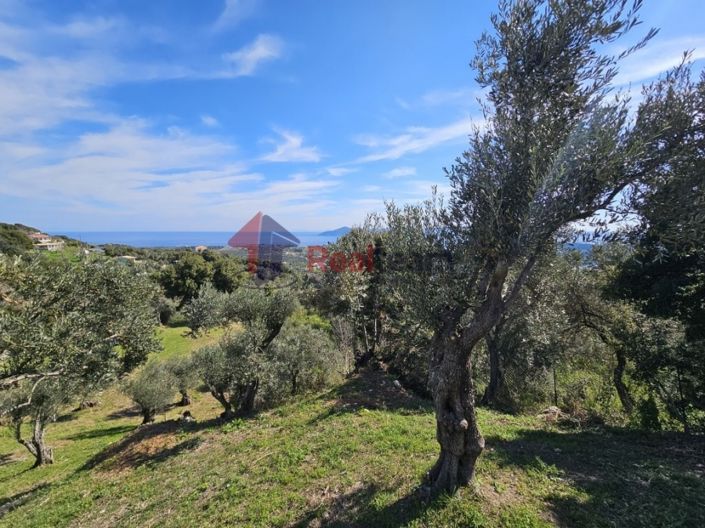 Image No.16-Property for sale