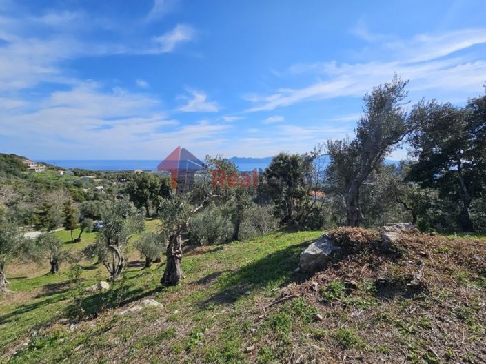 Image No.17-Property for sale