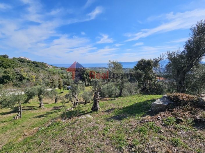 Image No.18-Property for sale