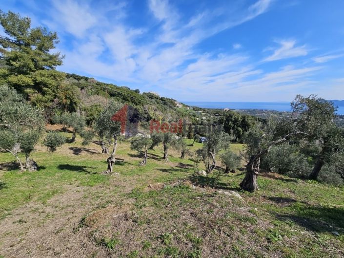 Image No.19-Property for sale