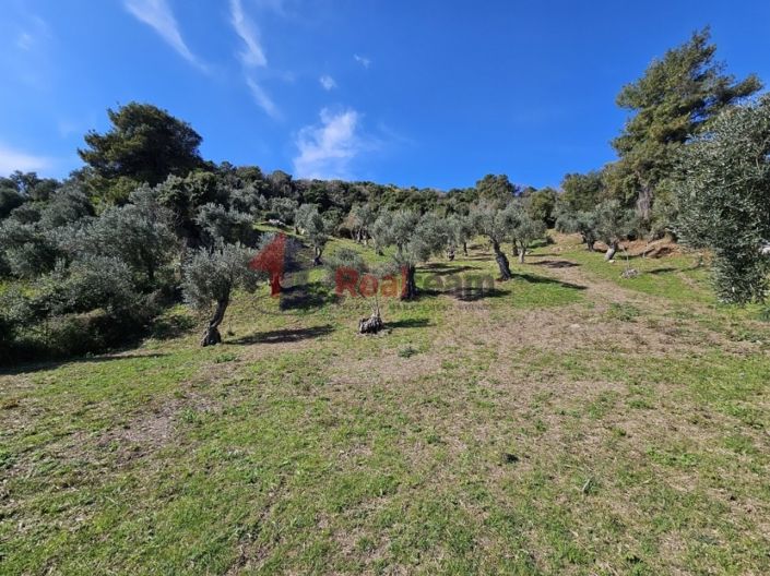 Image No.2-Property for sale