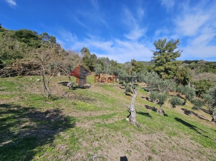 Image No.20-Property for sale