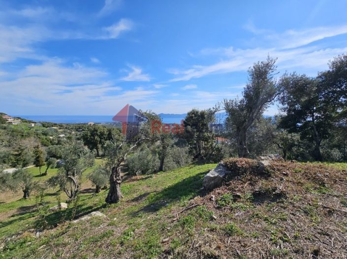 Image No.21-Property for sale