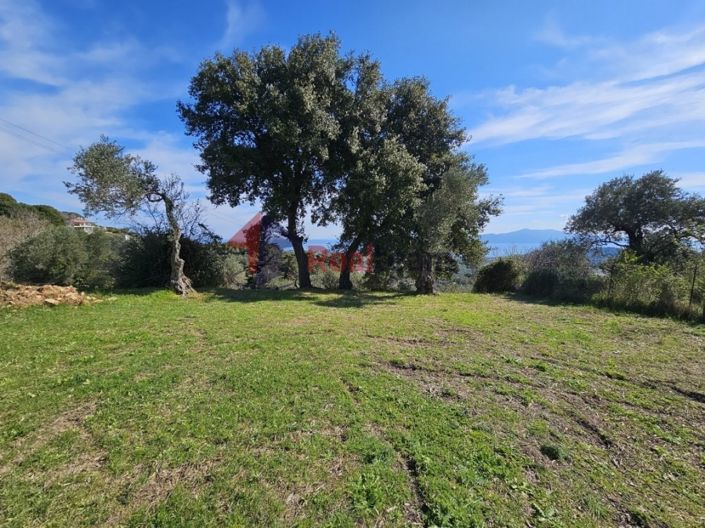 Image No.6-Property for sale