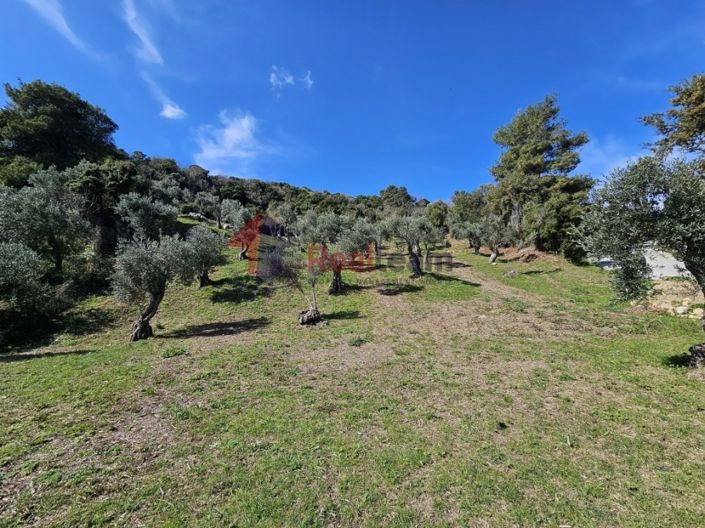 Image No.8-Property for sale