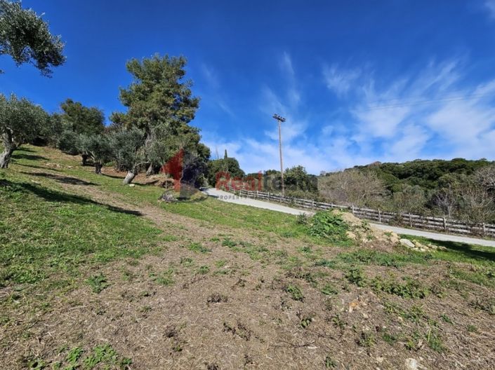 Image No.9-Property for sale