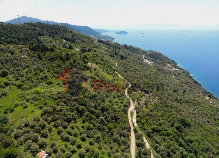 Image No.1-Property for sale