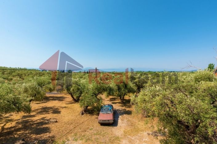 Image No.22-Propriété de 4 chambres à vendre à Artemida