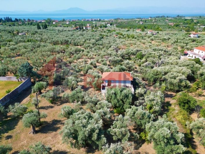 Image No.23-Propriété de 4 chambres à vendre à Artemida