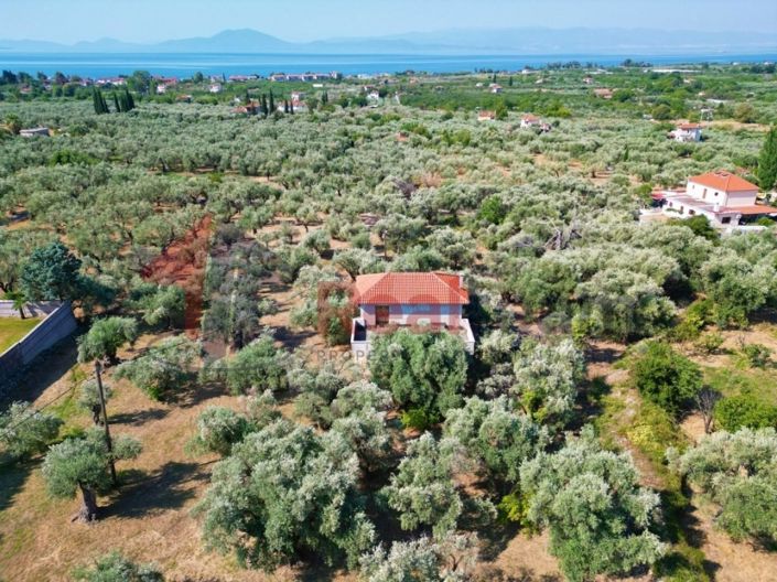 Image No.24-Propriété de 4 chambres à vendre à Artemida