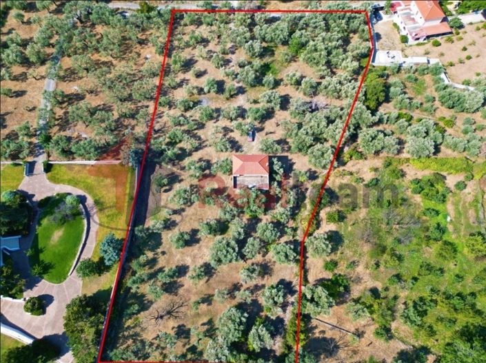 Image No.25-Propriété de 4 chambres à vendre à Artemida