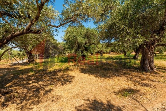 Image No.3-Propriété de 4 chambres à vendre à Artemida