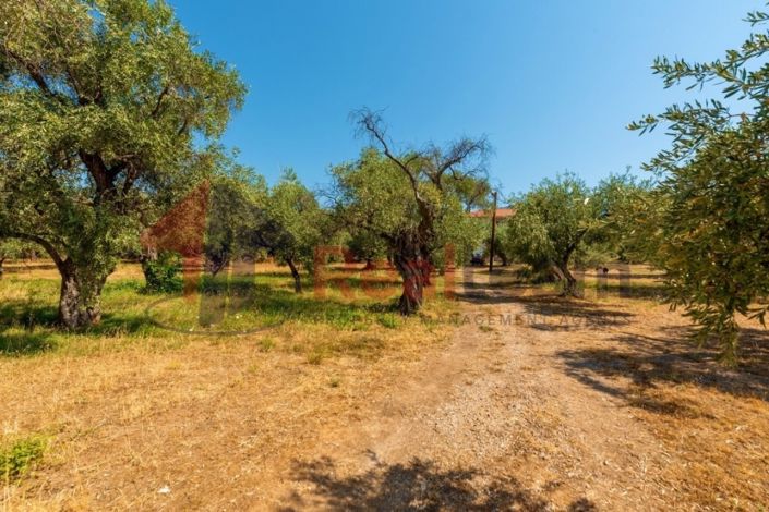 Image No.4-Propriété de 4 chambres à vendre à Artemida