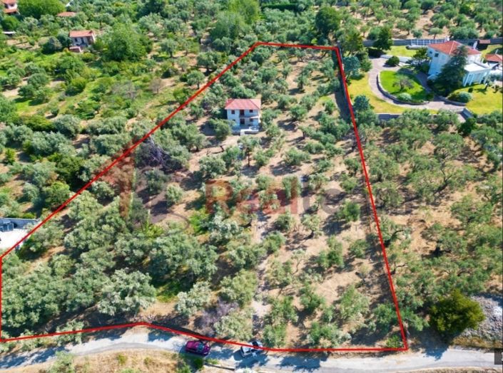 Image No.5-Propriété de 4 chambres à vendre à Artemida