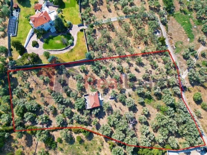 Image No.7-Propriété de 4 chambres à vendre à Artemida