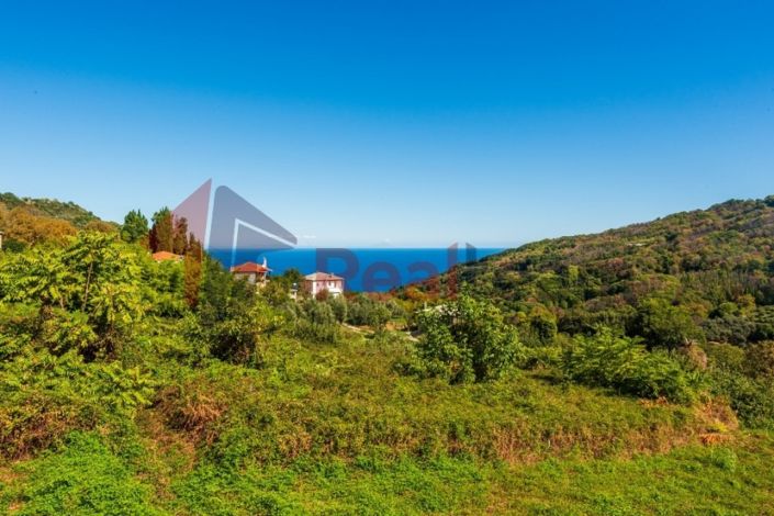 Image No.4-Propriété de 2 chambres à vendre à Magnésie