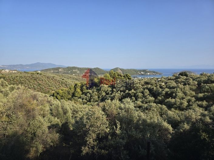 Image No.3-Propriété à vendre à Skiathos