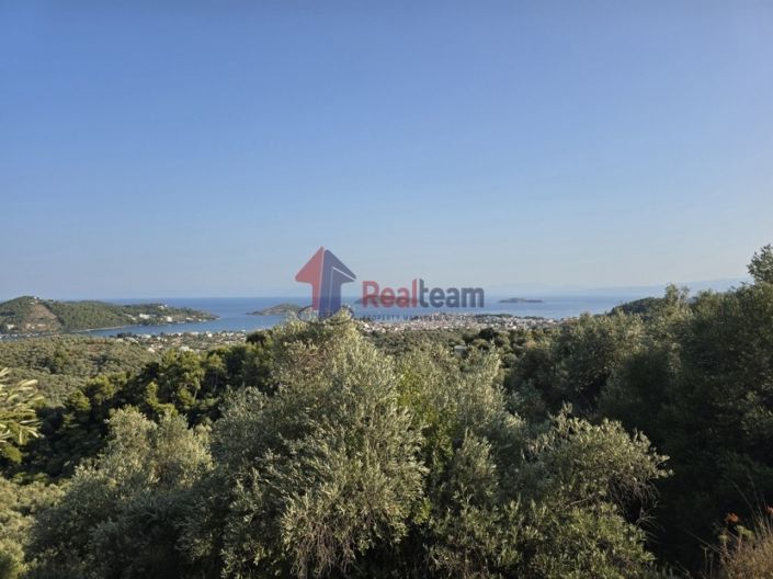 Image No.4-Propriété à vendre à Skiathos