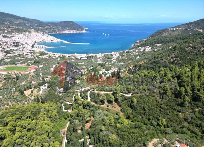 Image No.1-Property for sale