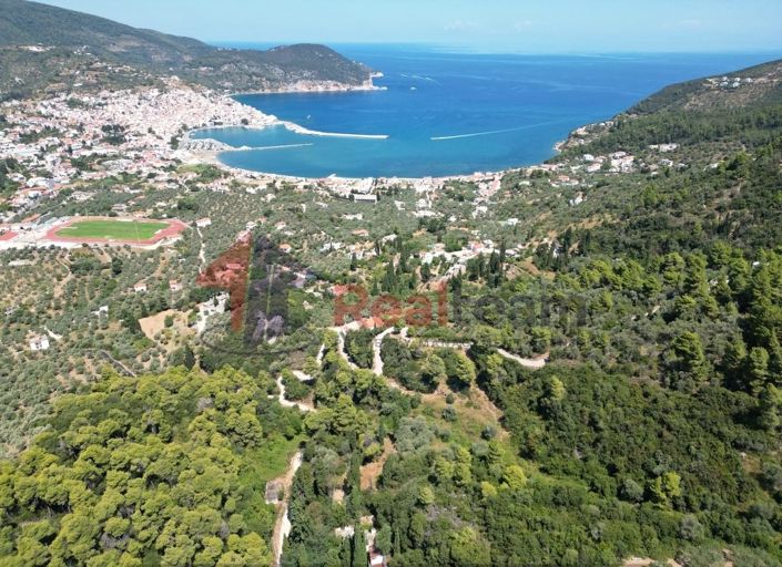 Image No.10-Property for sale