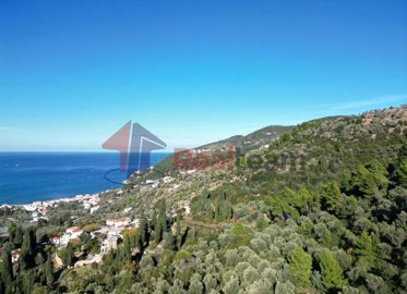 imgd030c8e3-ad89-44bd-869d-edc9960e44c5