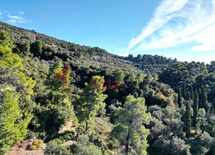 Image No.14-Property for sale