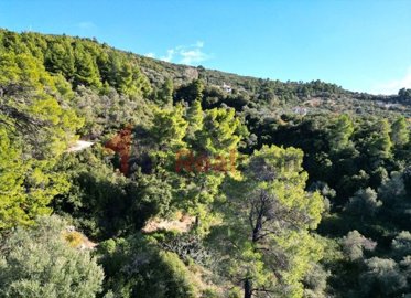 img545cf674-2c48-481e-8a44-4404a13d4803