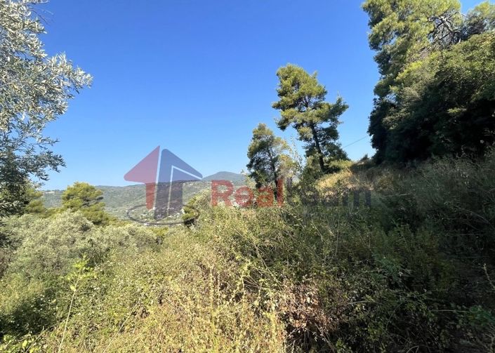 Image No.18-Property for sale