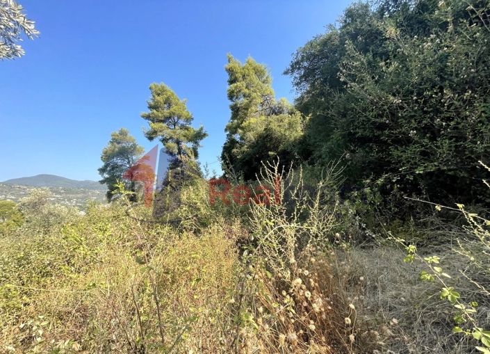 Image No.19-Property for sale