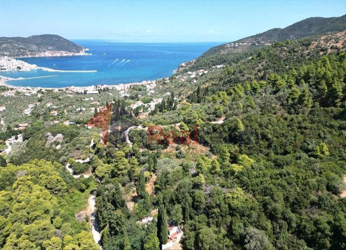 Image No.2-Property for sale