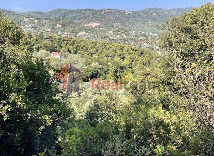 Image No.22-Property for sale