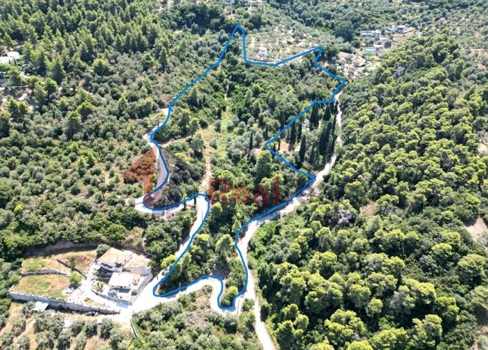 Image No.4-Property for sale